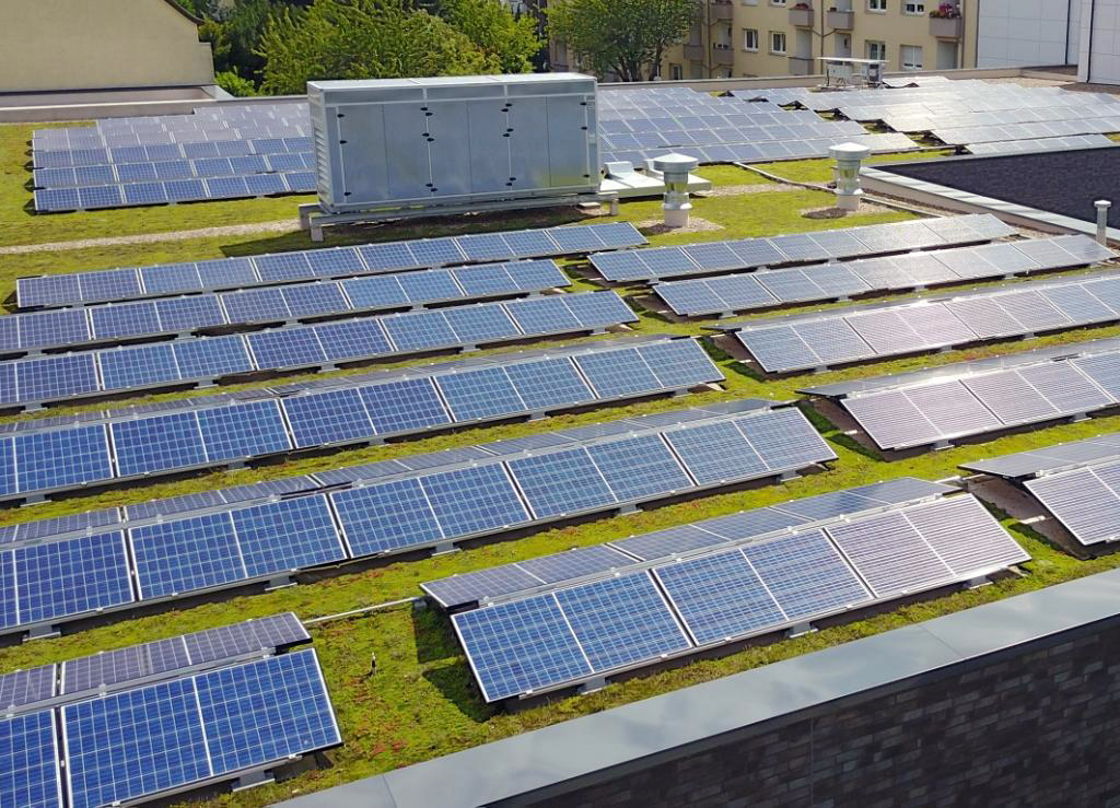 Mehr Solar aufs Dach: Auf der Verbundschule soll eine weitere Anlage installiert  werden