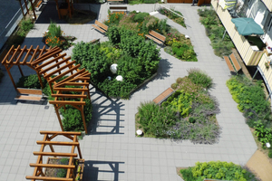  Der Dachgarten des Alten- und Pflegeheims St. Elisabeth in Marburg ist mit den Obst- und Gemüsepflanzen ein Beispiel für Urban Farming 